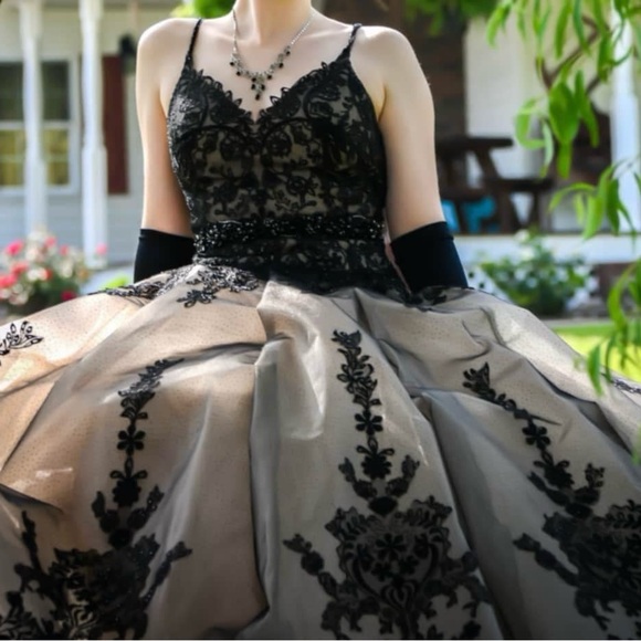 Prom/Formal Dress - Picture 5 of 7